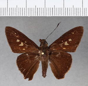  ( - CFC09889H)  @13 [ ] Copyright (2018) Center For Collection-Based Research Center For Collection-Based Research