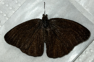  ( - CFCA02330)  @11 [ ] copyright (2024) Center For Collection-Based Research Center For Collection-Based Research