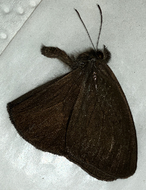  ( - CFCA02331)  @11 [ ] copyright (2024) Center For Collection-Based Research Center For Collection-Based Research