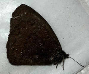  ( - CFCA06945)  @11 [ ] copyright (2024) Center For Collection-Based Research Center For Collection-Based Research