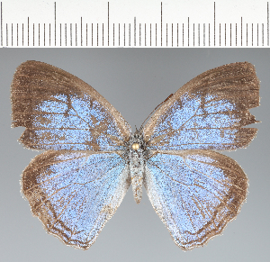  ( - CFCD04108)  @11 [ ] copyright (2024) Center For Collection-Based Research Center For Collection-Based Research