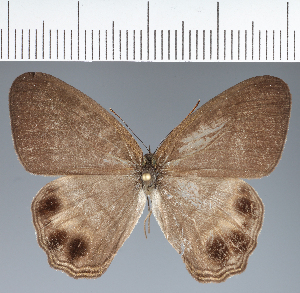  ( - CFCD04165)  @11 [ ] copyright (2024) Center For Collection-Based Research Center For Collection-Based Research