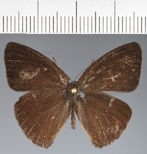  ( - CFCD04171)  @11 [ ] copyright (2024) Center For Collection-Based Research Center For Collection-Based Research