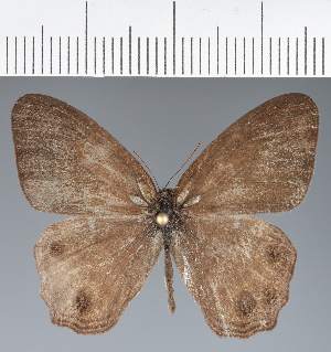  ( - CFCD04176)  @11 [ ] copyright (2024) Center For Collection-Based Research Center For Collection-Based Research