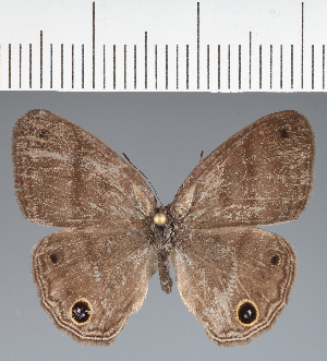  ( - CFCD04194)  @11 [ ] copyright (2024) Center For Collection-Based Research Center For Collection-Based Research