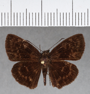  ( - CFCD01074)  @11 [ ] Copyright (2018) Center For Collection-Based Research Center For Collection-Based Research