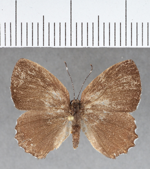  ( - CFCD01079)  @11 [ ] Copyright (2019) Center For Collection-Based Research Center For Collection-Based Research