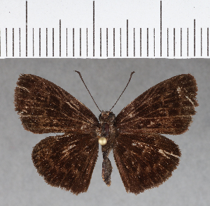  ( - CFCD01125)  @11 [ ] Copyright (2019) Center For Collection-Based Research Center For Collection-Based Research