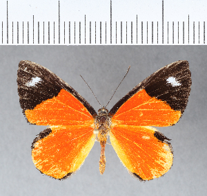  ( - CFCD00114)  @11 [ ] Copyright (2018) Center For Collection-Based Research Center For Collection-Based Research