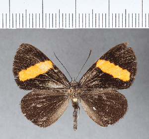  ( - CFCD00122)  @11 [ ] Copyright (2018) Center For Collection-Based Research Center For Collection-Based Research