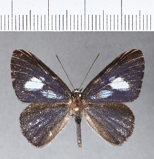  ( - CFCD00124)  @11 [ ] Copyright (2018) Center For Collection-Based Research Center For Collection-Based Research