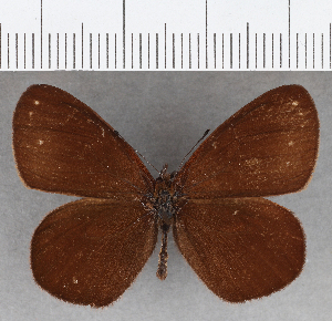  ( - CFCD01779)  @11 [ ] copyright (2020) Center For Collection-Based Research Center For Collection-Based Research