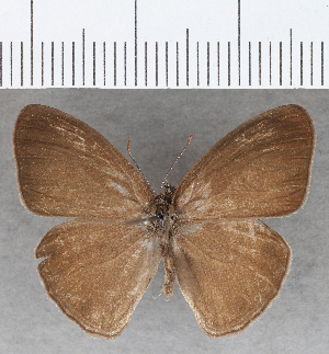  ( - CFCD01788)  @11 [ ] copyright (2020) Center For Collection-Based Research Center For Collection-Based Research