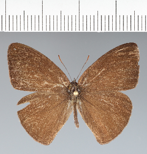  ( - CFCD02265)  @11 [ ] copyright (2022) Center For Collection-Based Research Center For Collection-Based Research