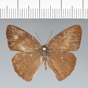  ( - CFCD02267)  @11 [ ] copyright (2022) Center For Collection-Based Research Center For Collection-Based Research