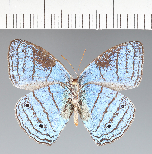  ( - CFCD02268)  @11 [ ] copyright (2022) Center For Collection-Based Research Center For Collection-Based Research