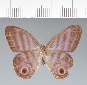  ( - CFCD02274)  @11 [ ] copyright (2022) Center For Collection-Based Research Center For Collection-Based Research