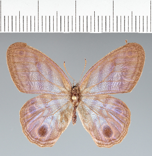  ( - CFCD02276)  @11 [ ] copyright (2022) Center For Collection-Based Research Center For Collection-Based Research