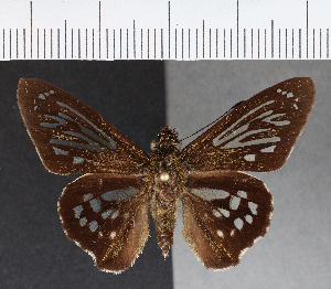  ( - CFCD00591)  @11 [ ] Copyright (2018) Center For Collection-Based Research Center For Collection-Based Research