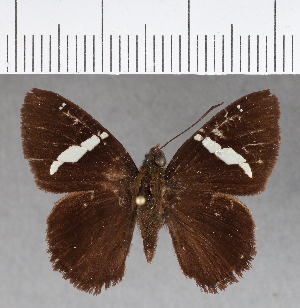  ( - CFCD00766)  @13 [ ] Copyright (2018) Center For Collection-Based Research Center For Collection-Based Research