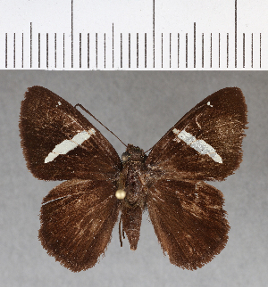  ( - CFCD00767)  @13 [ ] Copyright (2018) Center For Collection-Based Research Center For Collection-Based Research