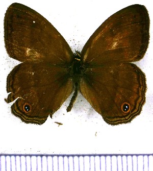  ( - JFDA1219)  @11 [ ] by-nc-sa (2024) Jean F. Le Crom Jean F. Le Crom