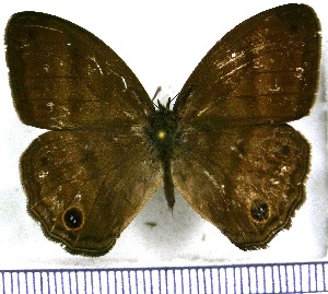  ( - JFDA1220)  @11 [ ] by-nc-sa (2024) Jean F. Le Crom Jean F. Le Crom