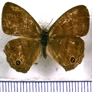  ( - JFDA1221)  @11 [ ] by-nc-sa (2024) Jean F. Le Crom Jean F. Le Crom