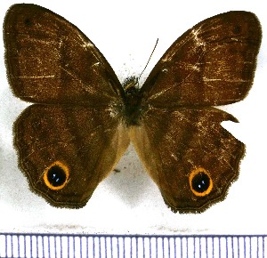  ( - JFDA1228)  @11 [ ] by-nc-sa (2024) Jean F. Le Crom Jean F. Le Crom