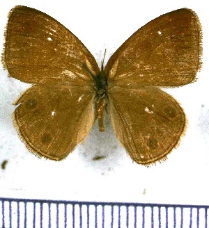  ( - JFDA1256)  @11 [ ] by-nc-sa (2024) Jean F. Le Crom Jean F. Le Crom