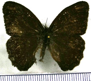  ( - JFDA1279)  @11 [ ] by-nc-sa (2024) Jean F. Le Crom Jean F. Le Crom