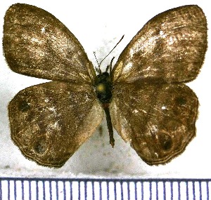  ( - JFDA1284)  @11 [ ] by-nc-sa (2024) Jean F. Le Crom Jean F. Le Crom