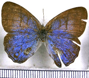  ( - JFDA1315)  @11 [ ] by-nc-sa (2024) Jean F. Le Crom Jean F. Le Crom