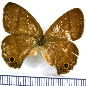  ( - JFDA1347)  @11 [ ] by-nc-sa (2024) Jean F. Le Crom Jean F. Le Crom