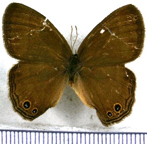  ( - JFDA1348)  @11 [ ] by-nc-sa (2024) Jean F. Le Crom Jean F. Le Crom