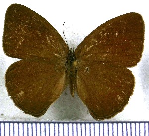  ( - JFDA1358)  @11 [ ] by-nc-sa (2024) Jean F. Le Crom Jean F. Le Crom