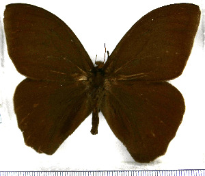  ( - JFDA1414)  @11 [ ] by-nc-sa (2025) Jean F. Le Crom Jean F. Le Crom