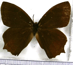  ( - JFDA1430)  @11 [ ] by-nc-sa (2025) Jean F. Le Crom Jean F. Le Crom