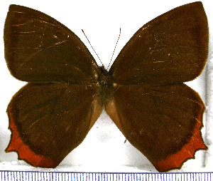  ( - JFDA1435)  @11 [ ] by-nc-sa (2025) Jean F. Le Crom Jean F. Le Crom