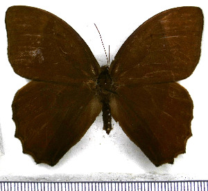  ( - JFDA1459)  @11 [ ] by-nc-sa (2025) Jean F. Le Crom Jean F. Le Crom