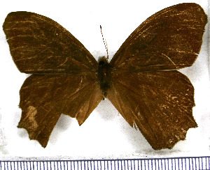  ( - JFDA1491)  @11 [ ] by-nc-sa (2025) Jean F. Le Crom Jean F. Le Crom