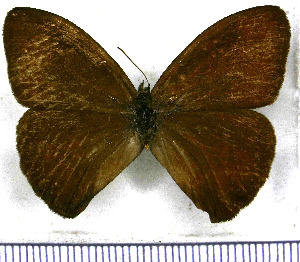  ( - JFDA1503)  @11 [ ] by-nc-sa (2025) Jean F. Le Crom Jean F. Le Crom