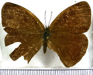  ( - JFDA1512)  @11 [ ] by-nc-sa (2025) Jean F. Le Crom Jean F. Le Crom