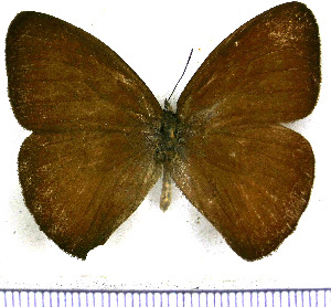  ( - JFDA1516)  @11 [ ] by-nc-sa (2025) Jean F. Le Crom Jean F. Le Crom