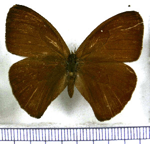  ( - JFDA1518)  @11 [ ] by-nc-sa (2025) Jean F. Le Crom Jean F. Le Crom