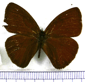  ( - JFDA1519)  @11 [ ] by-nc-sa (2025) Jean F. Le Crom Jean F. Le Crom