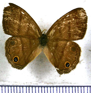  ( - JFDA2030)  @11 [ ] by-nc-sa (2025) Jean F. Le Crom Jean F. Le Crom