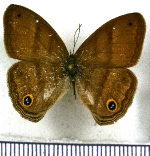  ( - JFDA2034)  @11 [ ] by-nc-sa (2025) Jean F. Le Crom Jean F. Le Crom