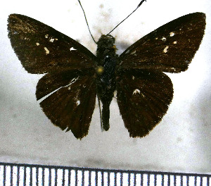  ( - JFDA4270)  @11 [ ] by-nc-sa (2025) Jean F. Le Crom Jean F. Le Crom