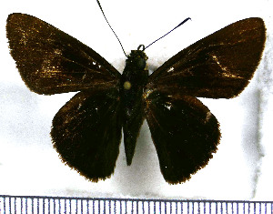  ( - JFDA4273)  @11 [ ] by-nc-sa (2025) Jean F. Le Crom Jean F. Le Crom